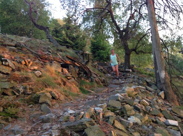 Downhill im Taunus&nbsp;:-)