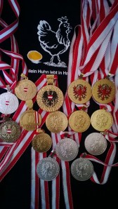 Meisterschaftsmedaillen 2013