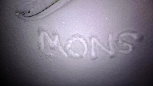 Stinketiere, Schnee und andere&nbsp;Geschichten