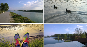 Samstag Nachmittag: Chillaxing in sinnlicher Ruhe an der Neuen Donau 