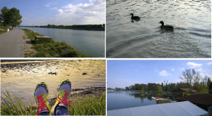 Samstag Nachmittag: Chillaxing in sinnlicher Ruhe an der Neuen Donau